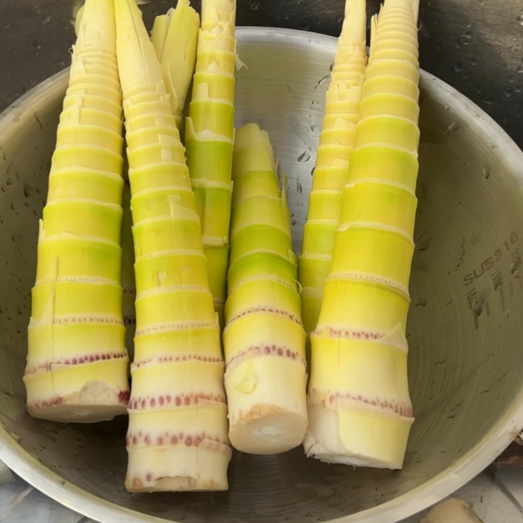 湖北露天种植新鲜采挖雷笋新鲜竹笋春笋