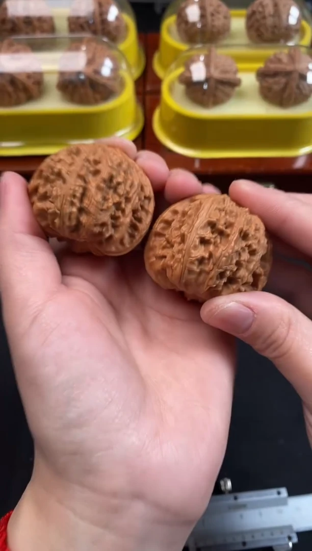 把件文玩核桃白狮子42尺N044