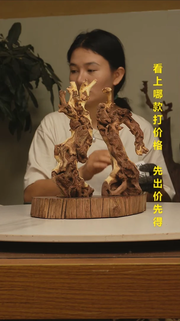 木@*牛金丝红木155