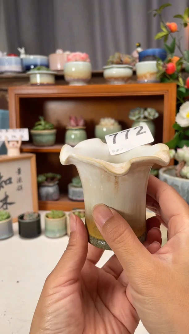 瓷片772知木小芳花盆