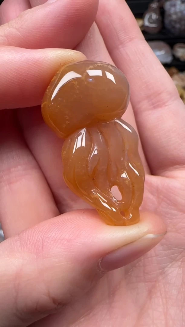 颈饰未镶嵌硅化珊瑚（珊瑚玉）640