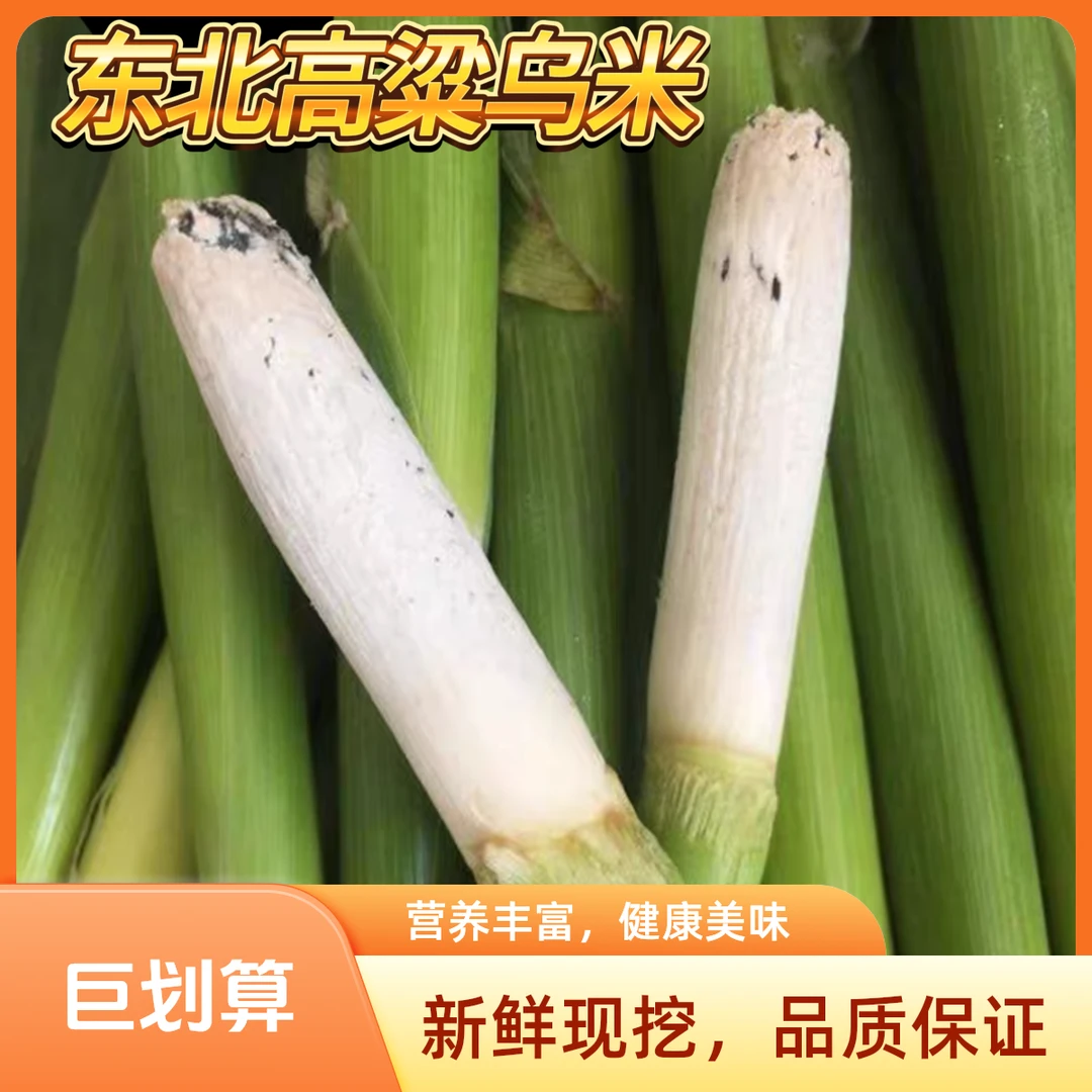 东北高粱乌米新鲜带皮当季蔬菜农家包邮