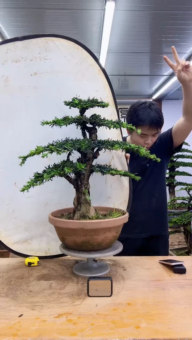 无花朵0000000000000