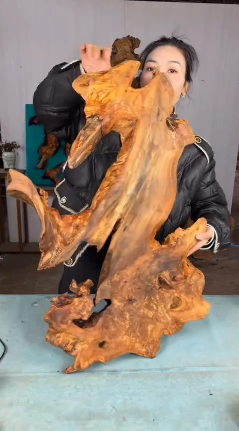 【闪购商品】香杉木木艺杉木瘤随型【原料】023