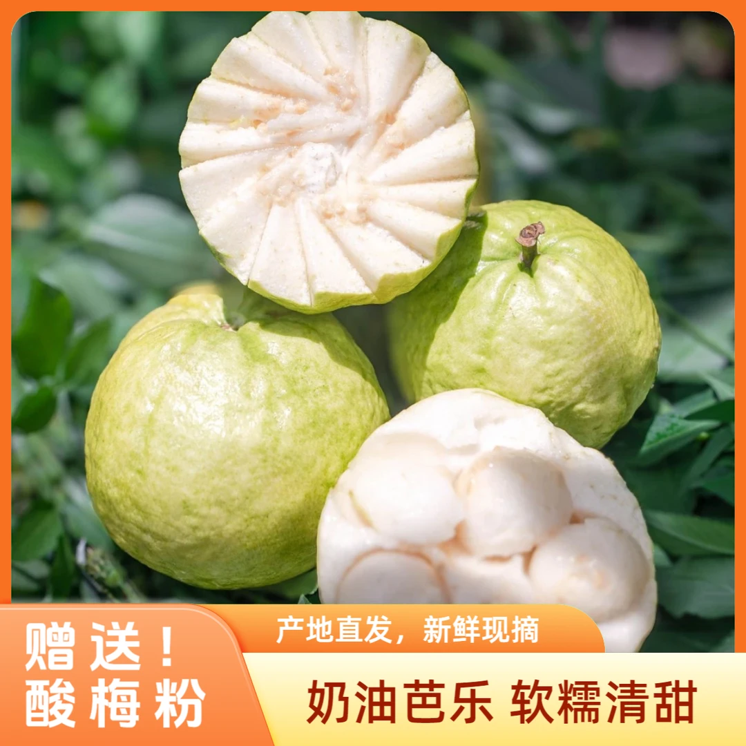 广西软心红心白心番石榴新鲜水果软芭乐净重3斤5斤软糯香甜现摘