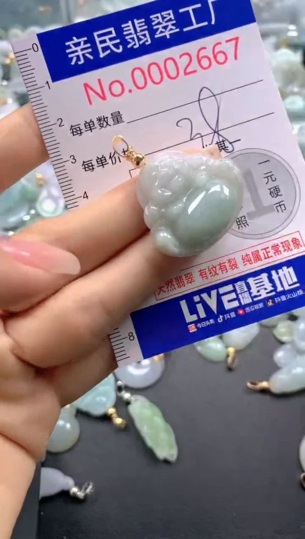 颈饰未镶嵌翡翠2667