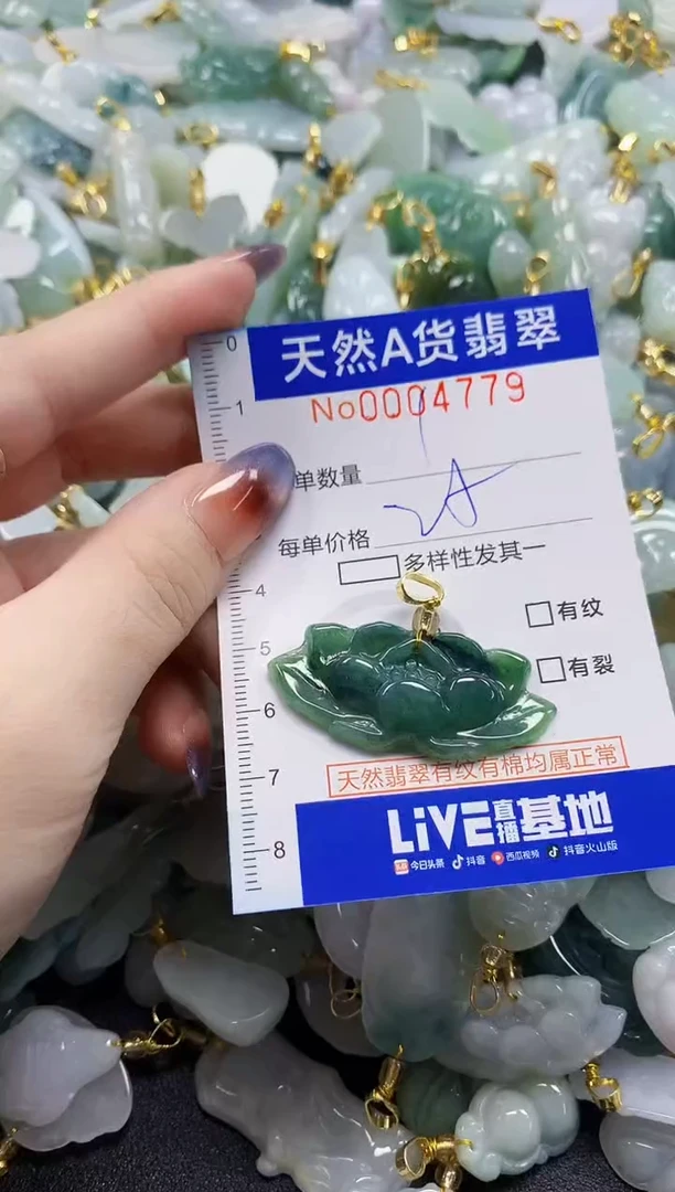 颈饰未镶嵌翡翠天然A货翡翠