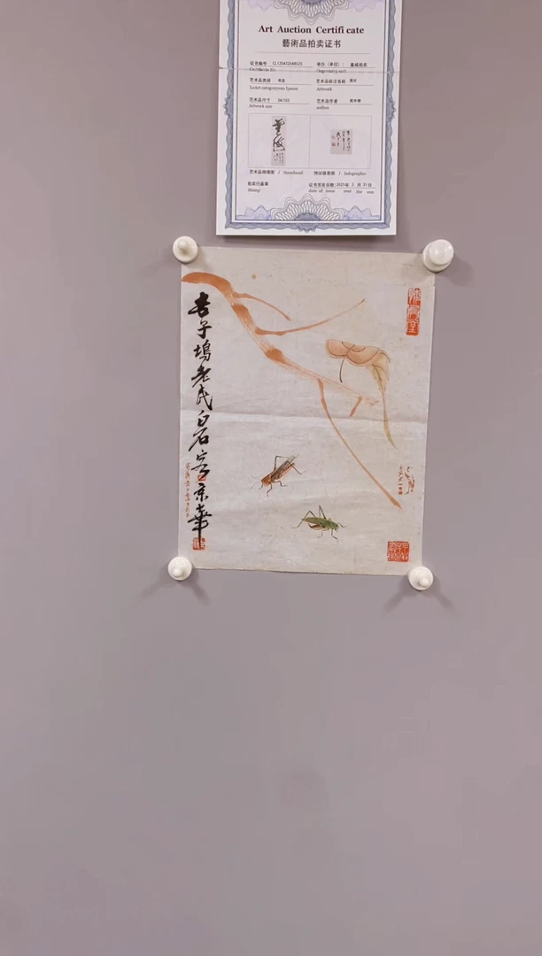 嘉诚商品专用链接