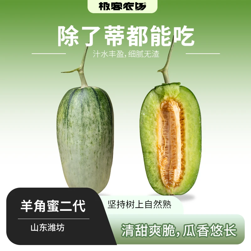 极客二代羊角蜜头茬甜瓜脆甜多汁瓤也可以吃香瓜4斤京东削皮吃