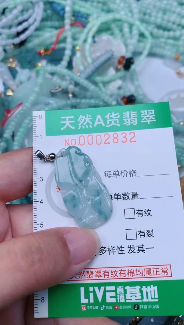 翡翠未镶嵌颈饰.0002832