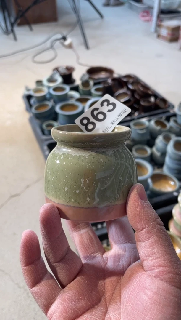 瓷片863小芳直播编号