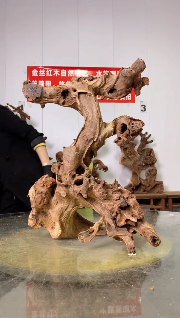 【闪购商品】木50金丝红木 羊蹄甲