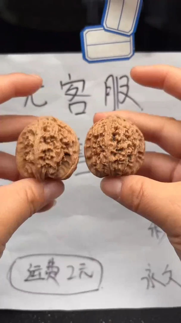 把件文玩核桃596白狮子