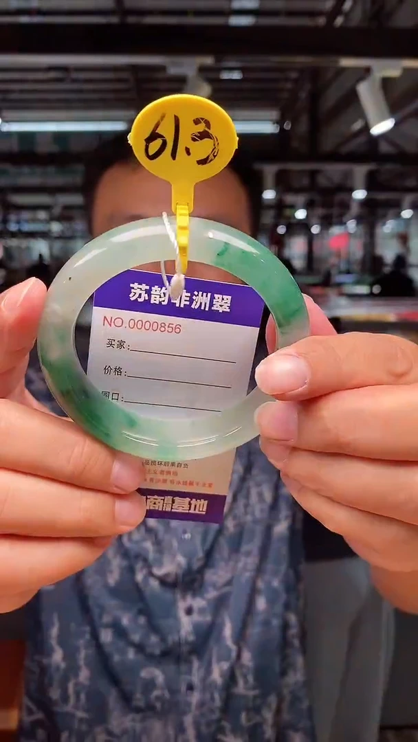 石英质玉（非洲翠）手镯未镶嵌61+