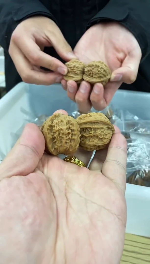 【白狮子】11元福利练手对