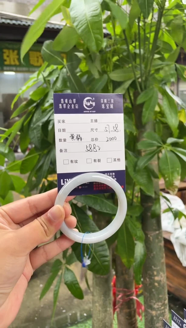 未镶嵌手镯翡翠L 57-58正圈5882