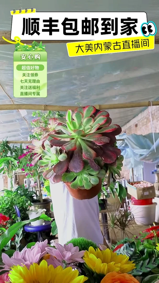 完全开放红色法师