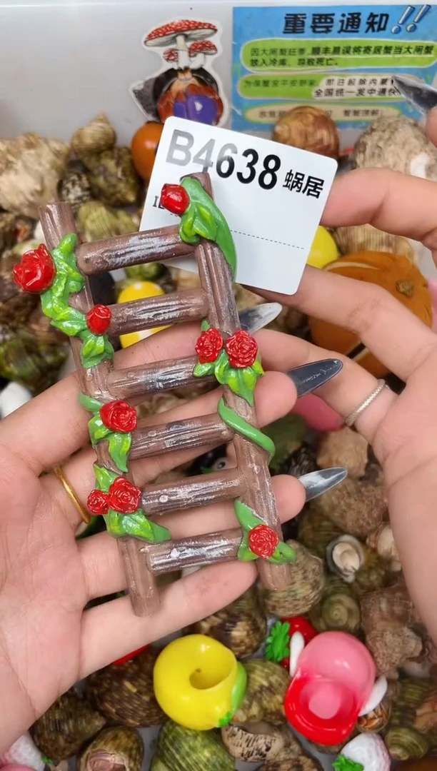 陌派甄选寄居蟹4638