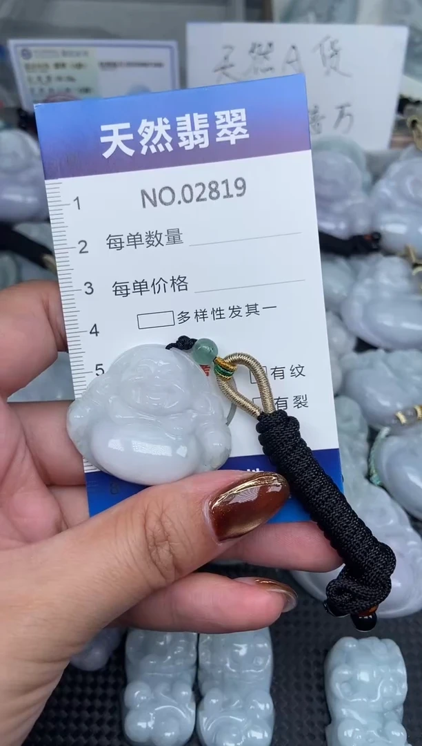 颈饰未镶嵌翡翠纯天然A货翡翠2819