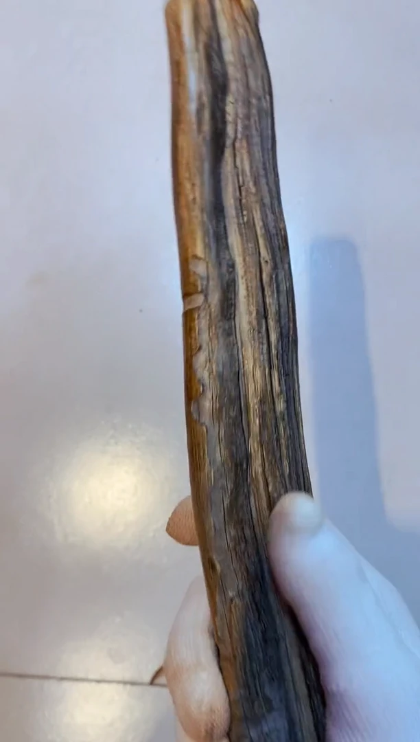 柏木（崖柏）30北太行崖柏手把件手串