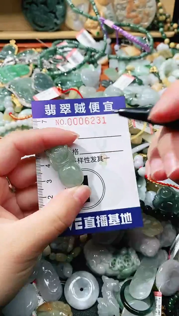 【闪购商品】翡翠颈饰未镶嵌闪购0006231