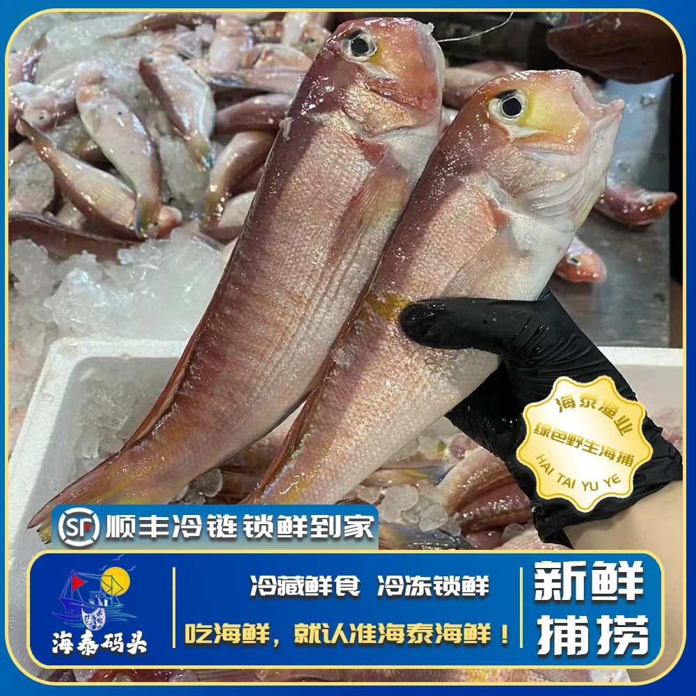 【马头鱼】源自野生深海鲜活速冻冷链锁鲜直达冷链到家
