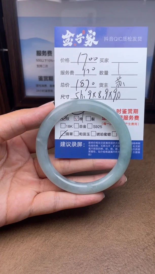 未镶嵌手镯翡翠5495914657