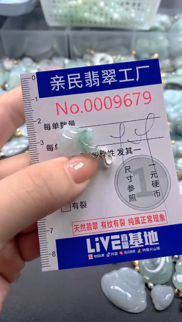 颈饰未镶嵌翡翠9679