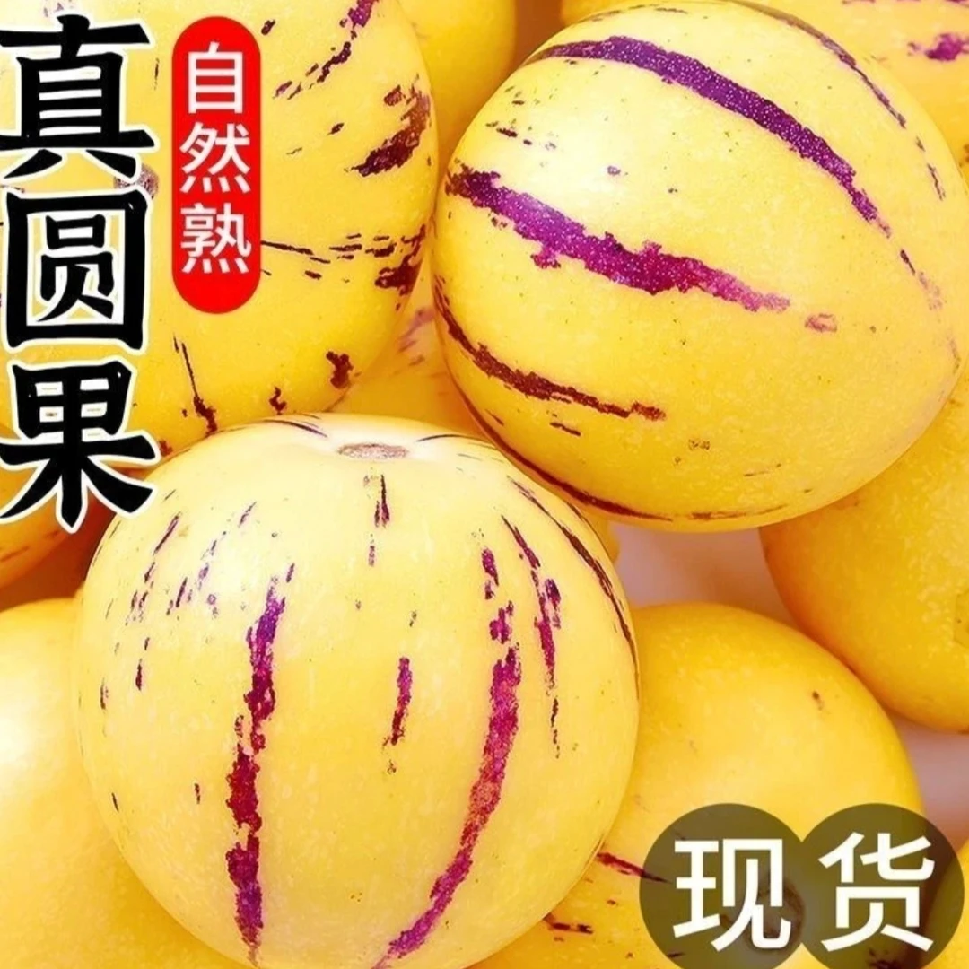 【树上熟】云南石林黄肉人参果当季新鲜水果消暑清甜多汁