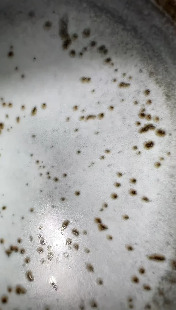 茶盏老表精选柴烧69