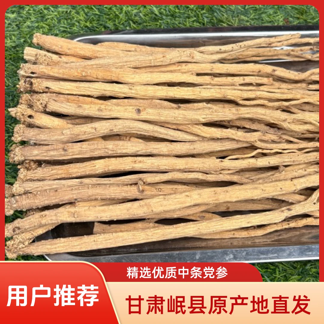 《党参》甘肃岷县原产地直发[种植党参》可泡酒煲汤煮水泡水黄芪