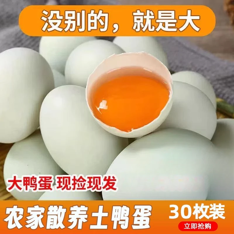 正宗鲜鸭蛋农家散养生鸭蛋金锭绿皮青壳新鲜土鸭蛋特大号整箱30枚