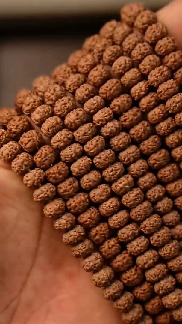 手串金刚菩提S02树祖单圈