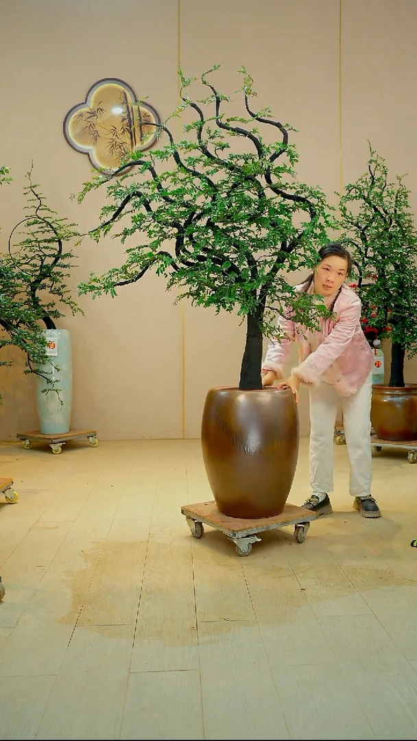 以实际为准彩****羊【广东小叶紫檀】落地高端盆景绿植四季常青常绿