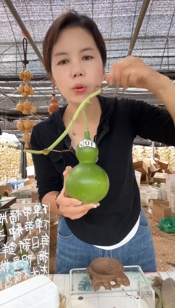 105天然葫芦摆件 一物一拍龙头不保售后