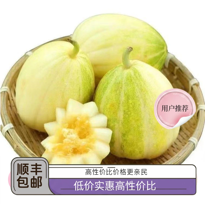 黑龙江白糖罐香瓜,净称5斤,小时候的味道 ,顺丰快递包邮。