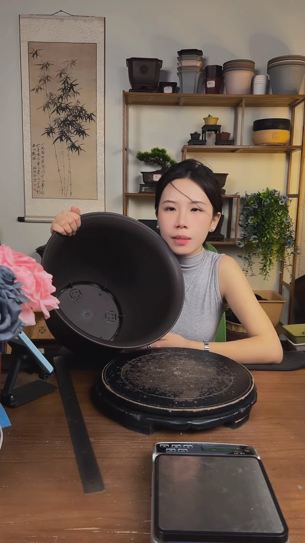 35*27金钟紫檀色2只装