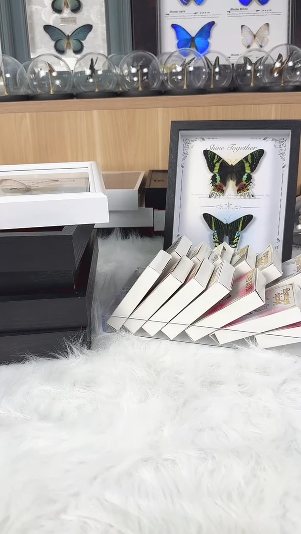 真实天然蝴蝶标本