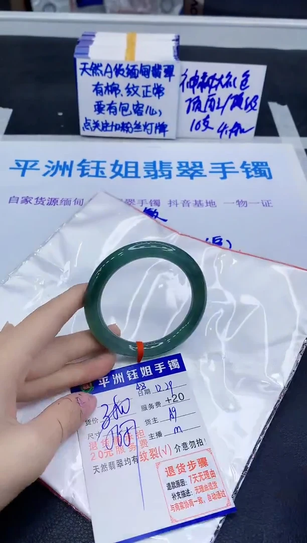未镶嵌手镯翡翠11111