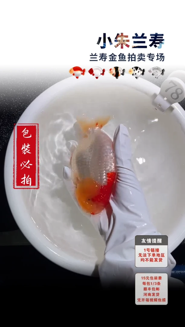 金鱼包装必拍未拍顺丰到付78号
