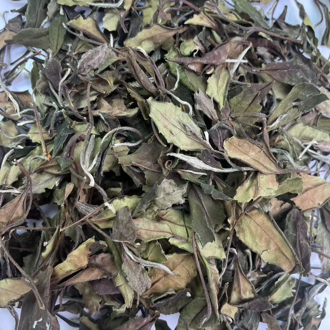 【时间煮雨】19年政和锦屏春寿眉何大海师傅收藏