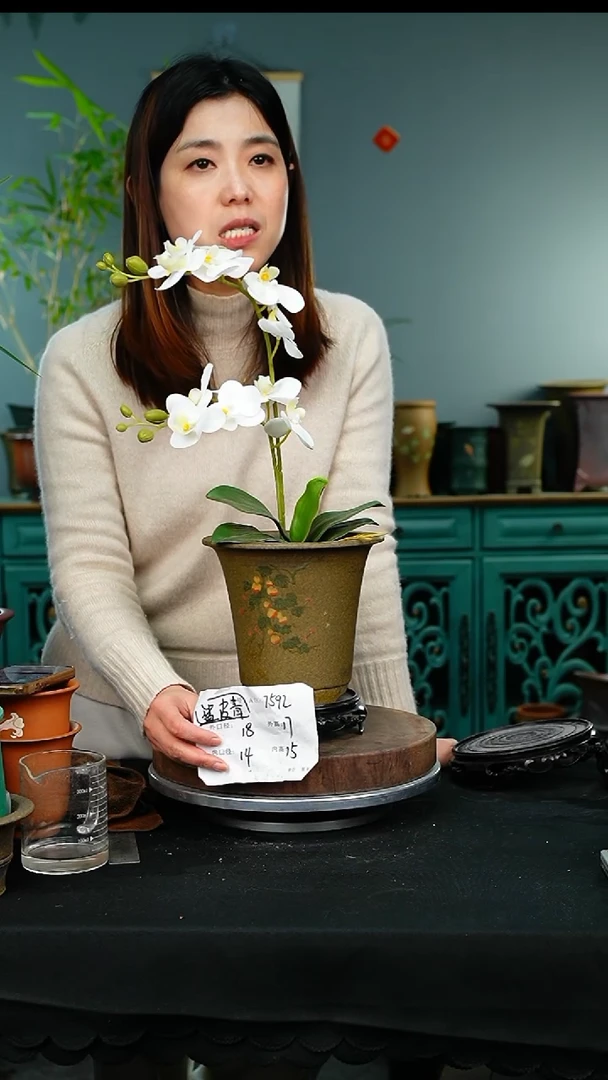 紫砂花盆&7592+s紫砂花盆