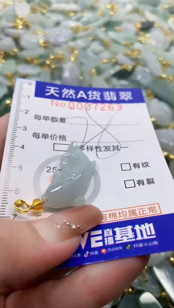 颈饰未镶嵌翡翠天然A货翡翠