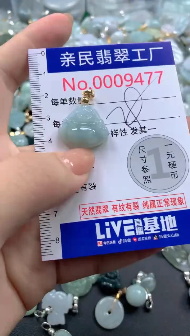 颈饰未镶嵌翡翠9477