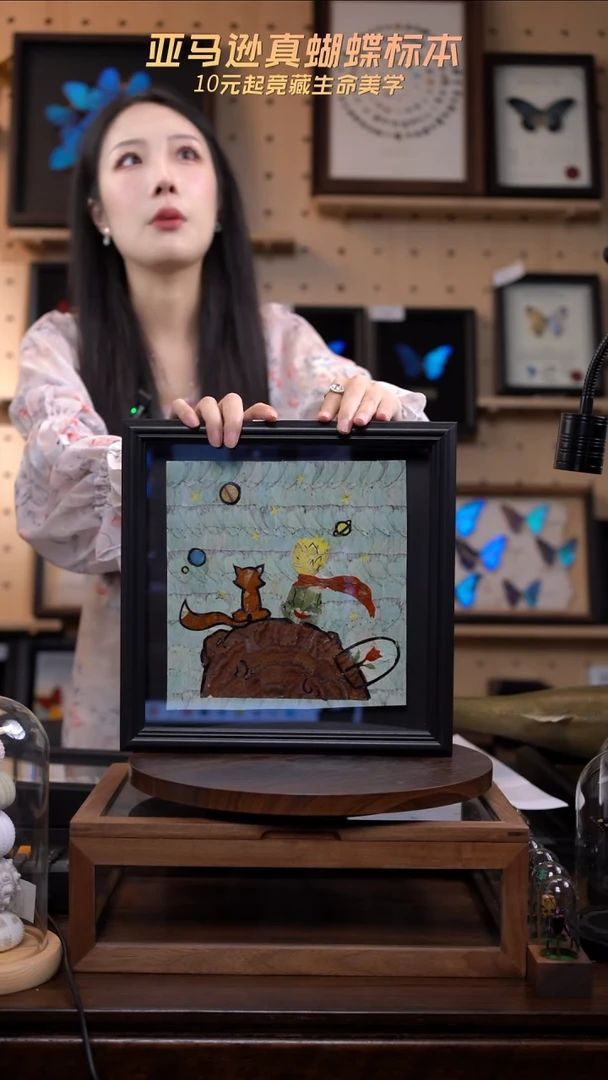 蝴蝶翅膀蝶翅画a46