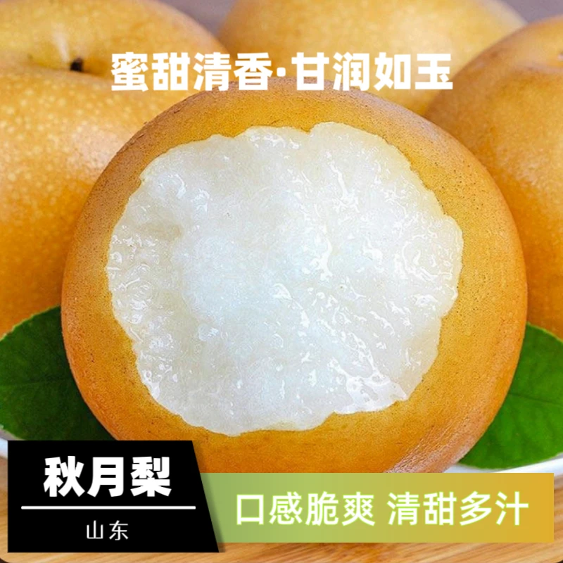 【顺丰包邮】山东莱西秋月梨脆甜多汁蜜甜清香新鲜采摘产地直发