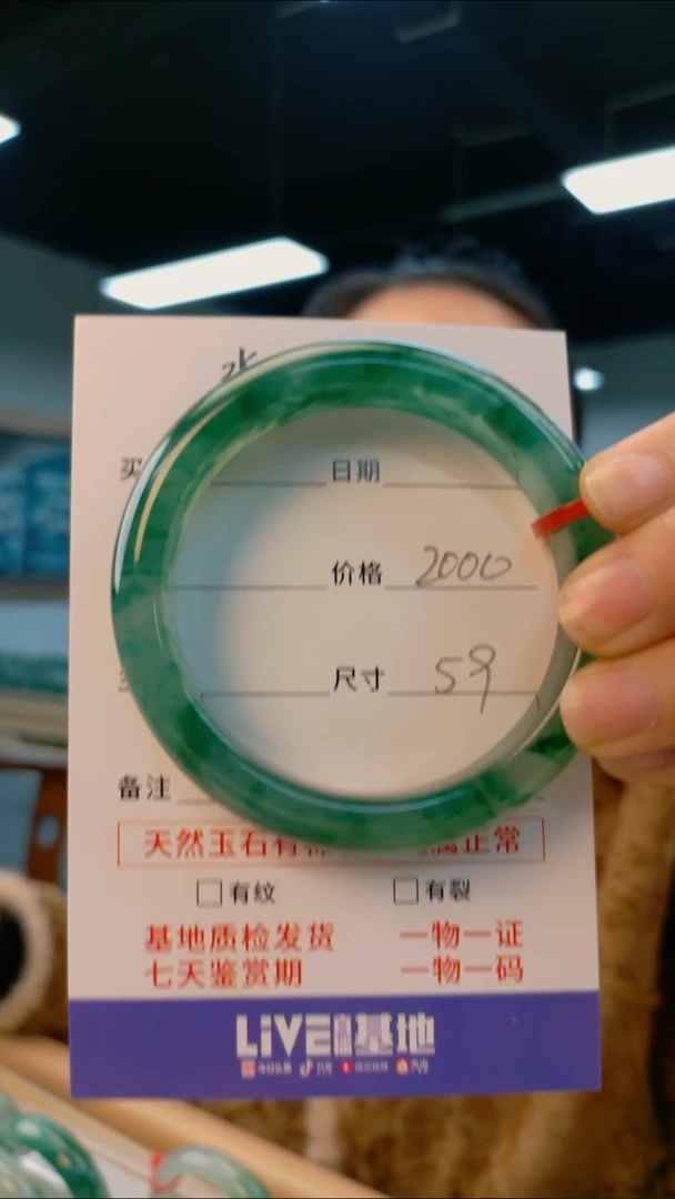 【闪购商品】石英质玉手镯未镶嵌天然独龙玉手镯圈口59