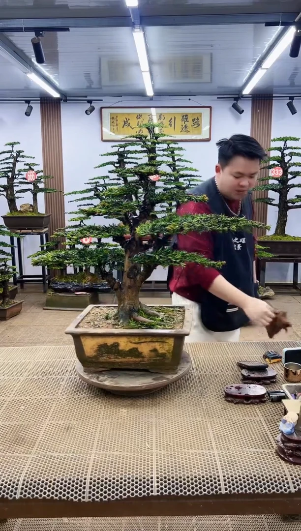 【闪购商品】00000000