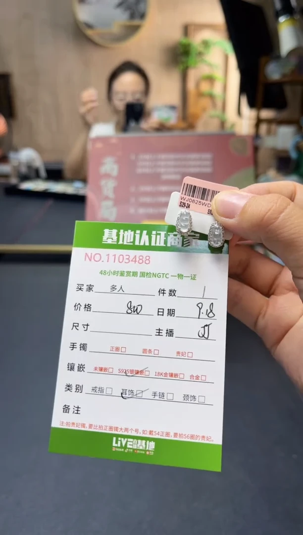 银S925镶嵌翡翠耳饰多人