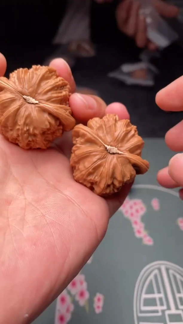 把件文玩核桃a35  白狮子 41尺